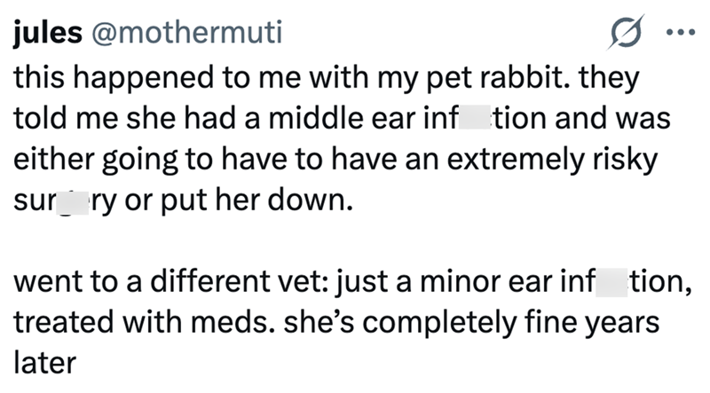jules @mothermuti this happened to me with my pet rabbit. they told me she had a middle ear inftion and was either going to have to have an extremely risky sur ry or put her down. went to a different vet: just a minor ear inf tion, treated with meds. she's completely fine years later