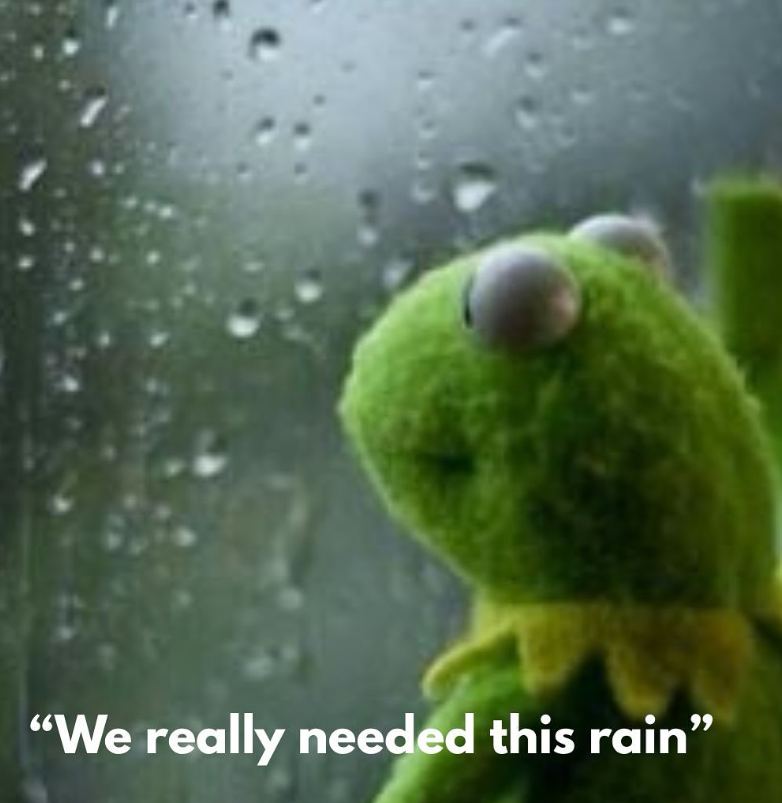 "We really needed this rain"