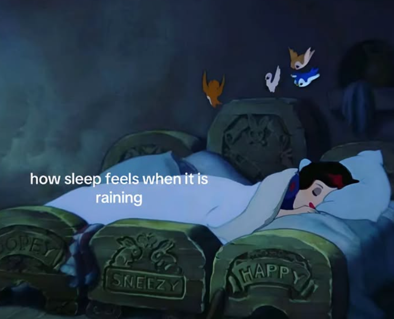how sleep feels when it is raining OPE SNEEZY HAPPY