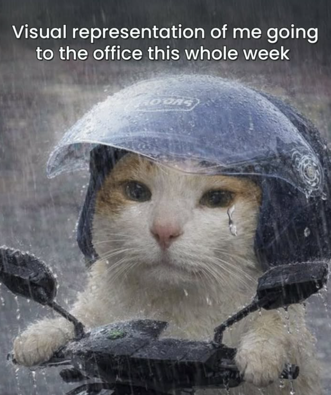 Visual representation of me going to the office this whole week ROORS