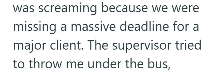 was screaming because we were missing a massive deadline for a major client. The supervisor tried to throw me under the bus,
