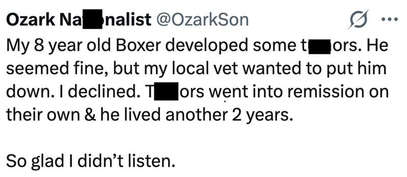 Ozark Na nalist @OzarkSon My 8 year old Boxer developed some t ors. He seemed fine, but my local vet wanted to put him down. I declined. Tors went into remission on their own & he lived another 2 years. So glad I didn't listen.