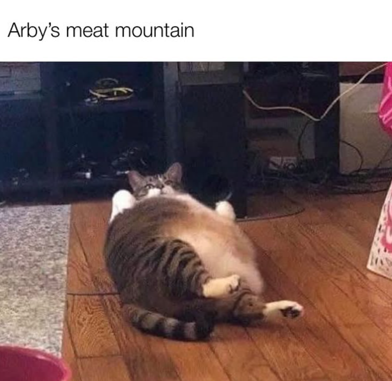 Arby's meat mountain