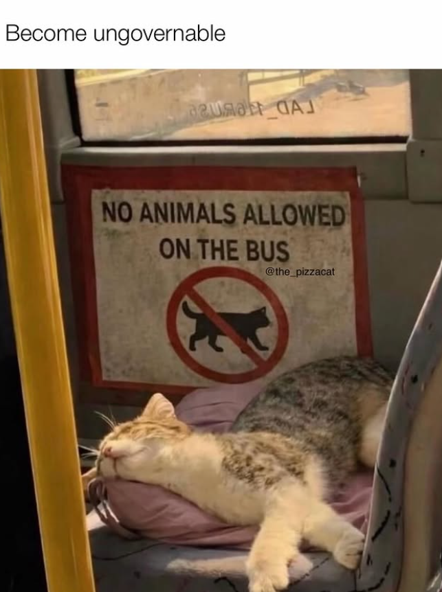Become ungovernable агидан А NO ANIMALS ALLOWED ON THE BUS @the_pizzacat