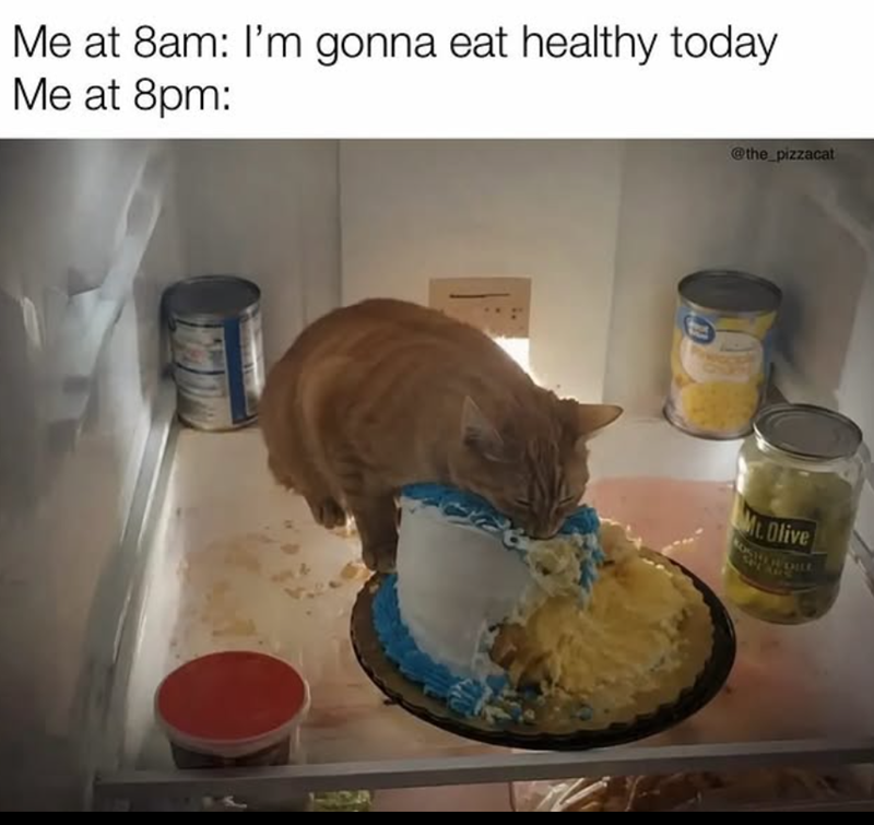 Me at 8am: I'm gonna eat healthy today Me at 8pm: @the_pizzacat Mt. Olive