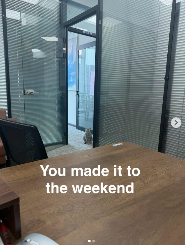 Λ You made it to the weekend O