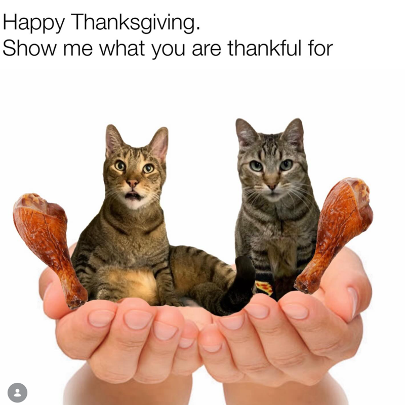 Happy Thanksgiving. Show me what you are thankful for