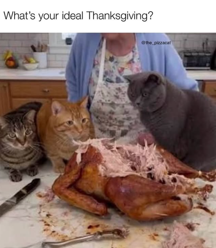 What's your ideal Thanksgiving? @the_pizzacat