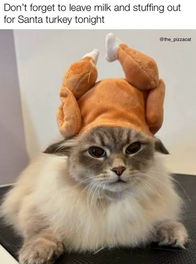 Don't forget to leave milk and stuffing out for Santa turkey tonight @the_pizzacat
