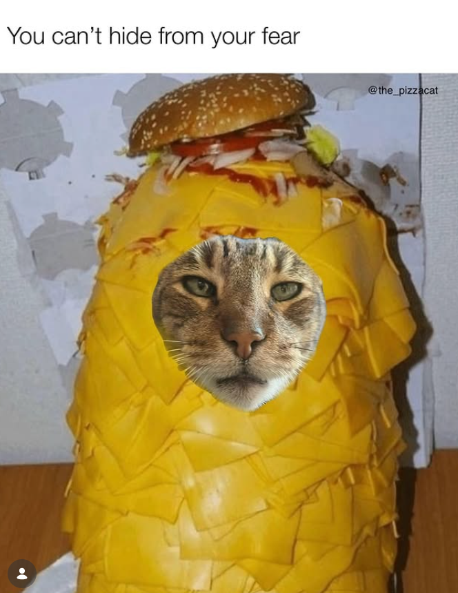 You can't hide from your fear @the_pizzacat