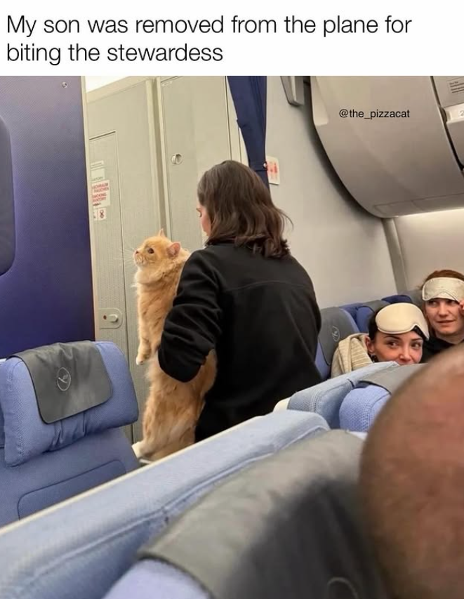 My son was removed from the plane for biting the stewardess @the_pizzacat E