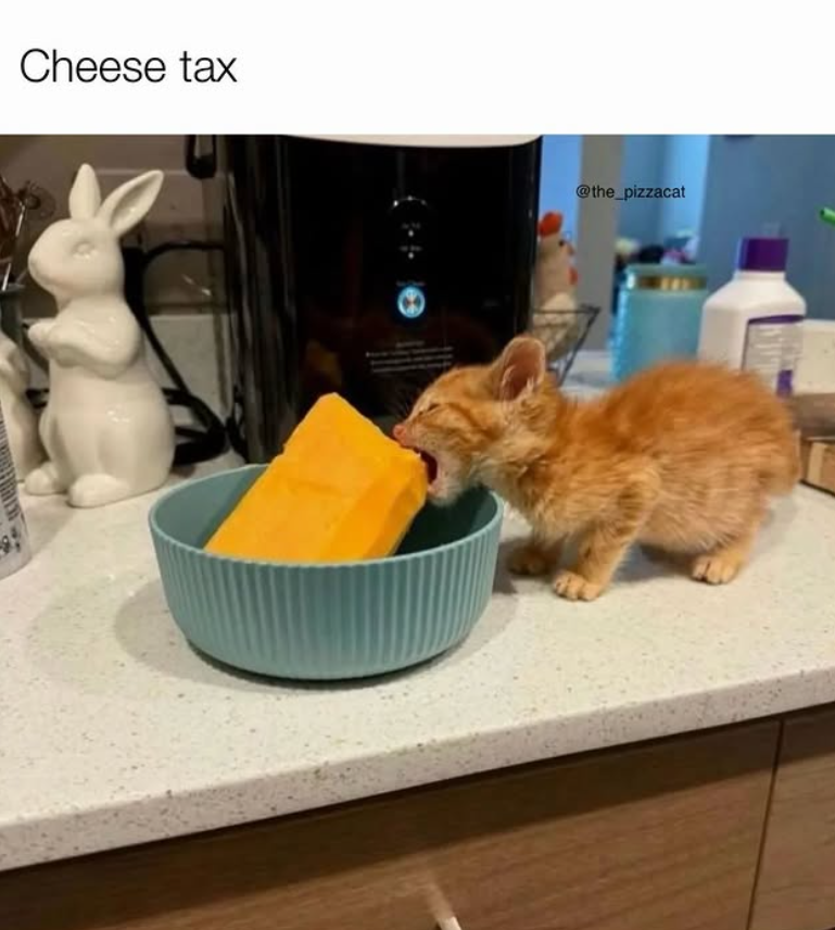 Cheese tax @the_pizzacat