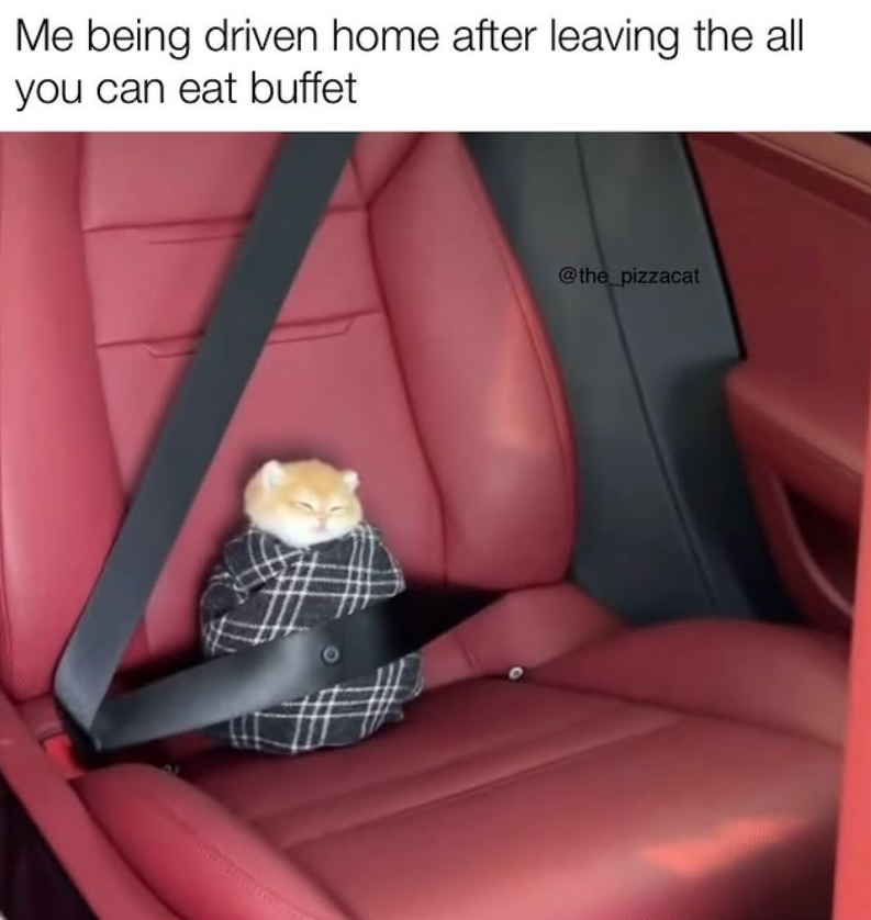 Me being driven home after leaving the all you can eat buffet @the_pizzacat