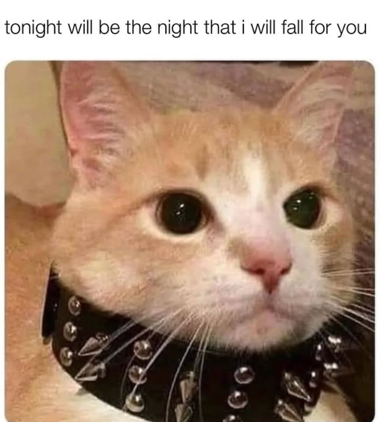 tonight will be the night that i will fall for you