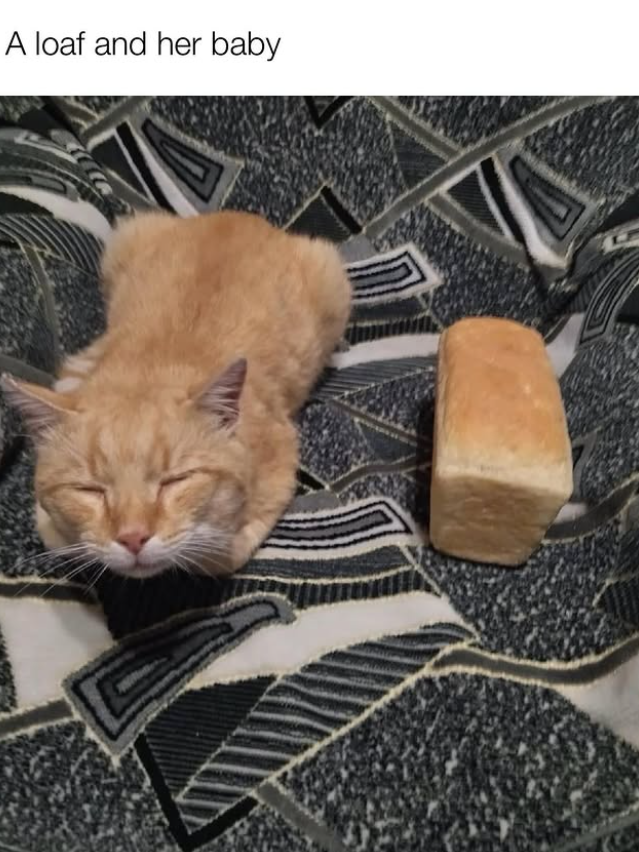 A loaf and her baby