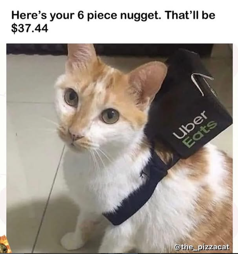 Here's your 6 piece nugget. That'll be $37.44 Uber Eats @the_pizzacat