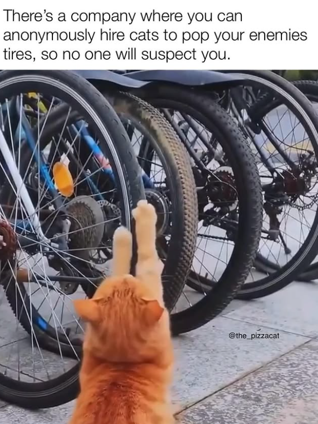 There's a company where you can anonymously hire cats to pop your enemies tires, so no one will suspect you. @the_pizzacat
