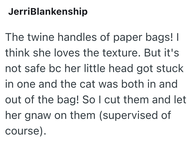JerriBlankenship The twine handles of paper bags! I think she loves the texture. But it's not safe bc her little head got stuck in one and the cat was both in and out of the bag! So I cut them and let her gnaw on them (supervised of course).