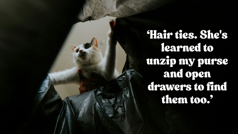 'Hair ties. She's learned to unzip my purse and open drawers to find them too.'
