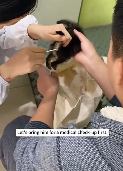 Let's bring him for a medical check-up first.