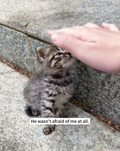 He wasn't afraid of me at all.