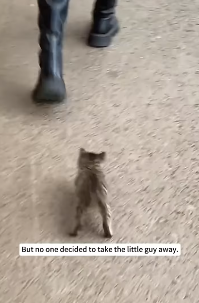 But no one decided to take the little guy away.