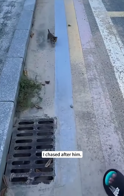 I chased after him.