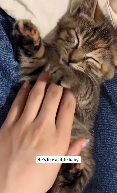 He's like a little baby.