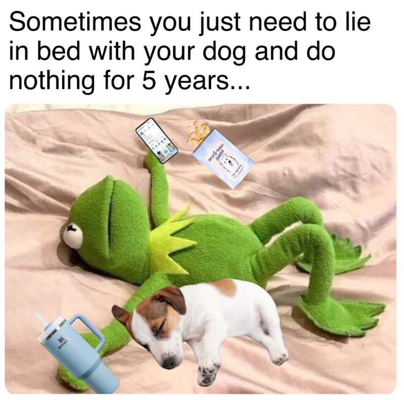 STANLY Sometimes you just need to lie in bed with your dog and do nothing for 5 years... SPOT&T POT & TANK