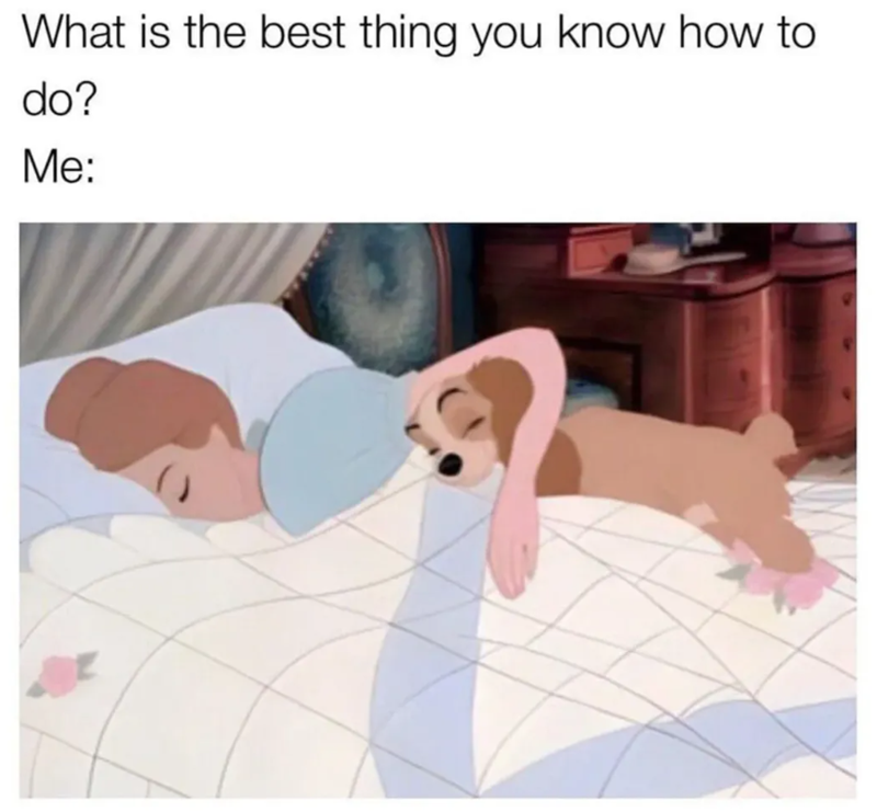 What is the best thing you know how to do? Me: