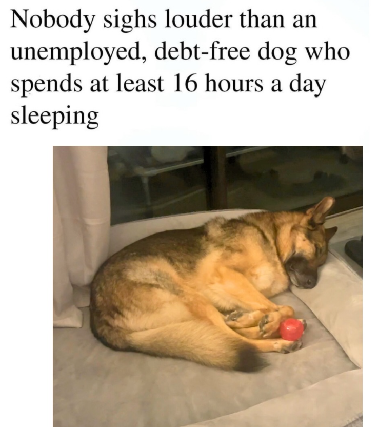 Nobody sighs louder than an unemployed, debt-free dog who spends at least 16 hours a day sleeping