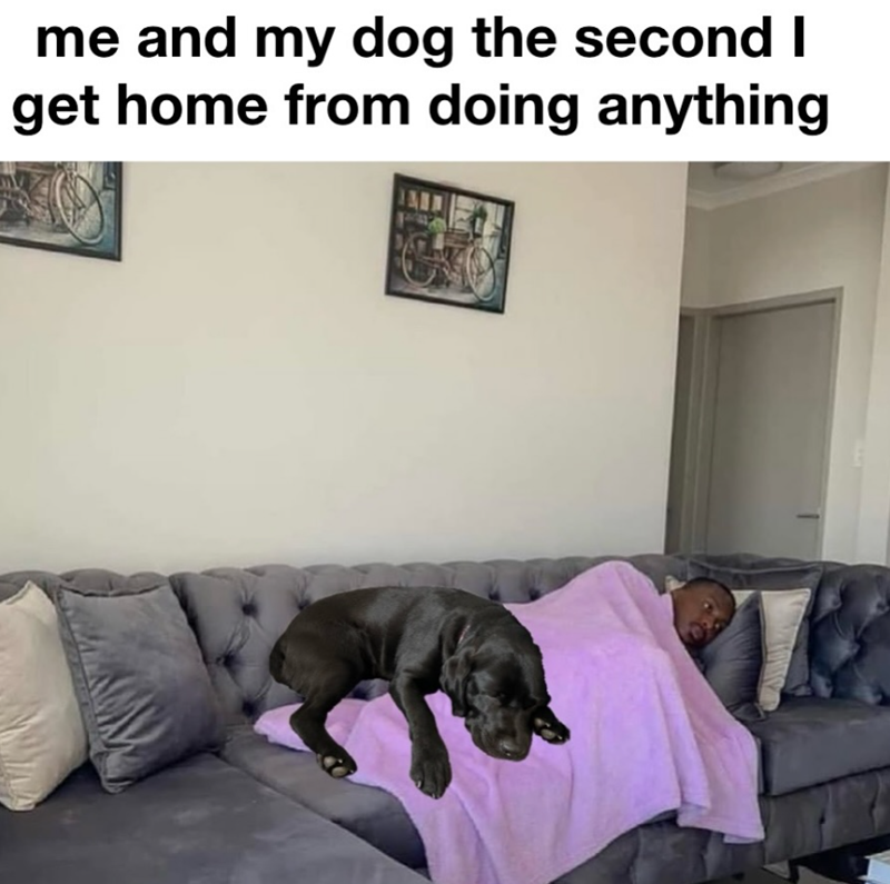me and my dog the second I get home from doing anything
