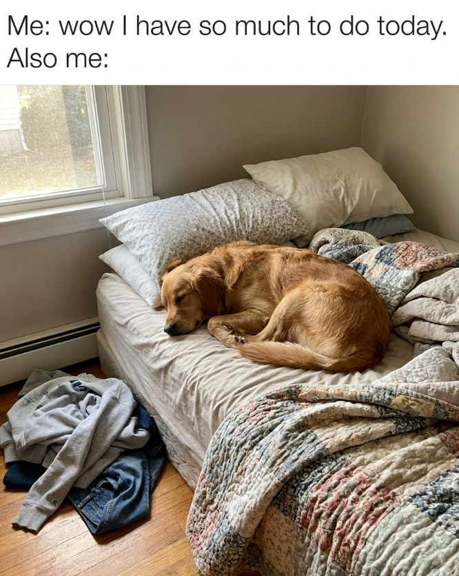 Me: wow I have so much to do today. Also me: