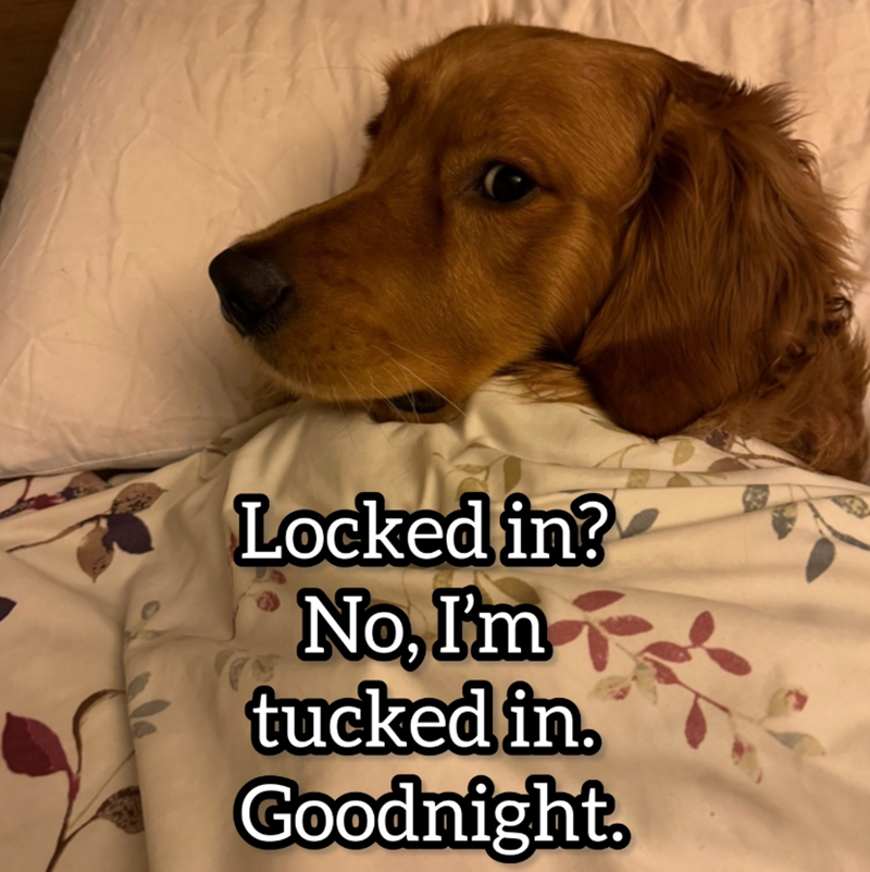 Locked in? No, I'm tucked in. Goodnight.