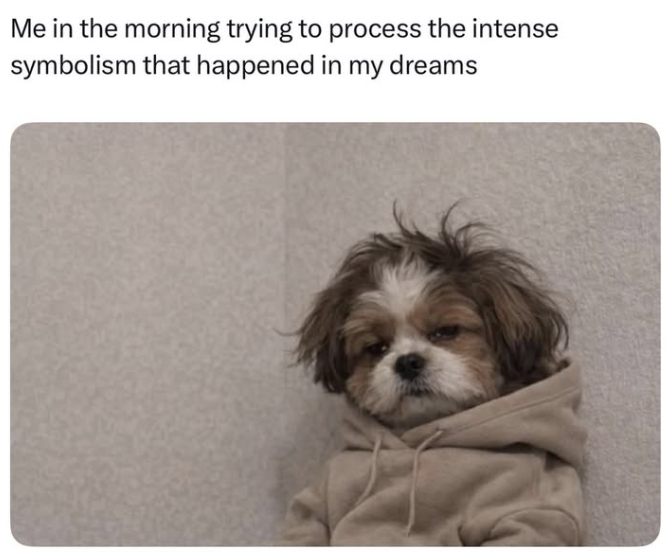 Me in the morning trying to process the intense symbolism that happened in my dreams