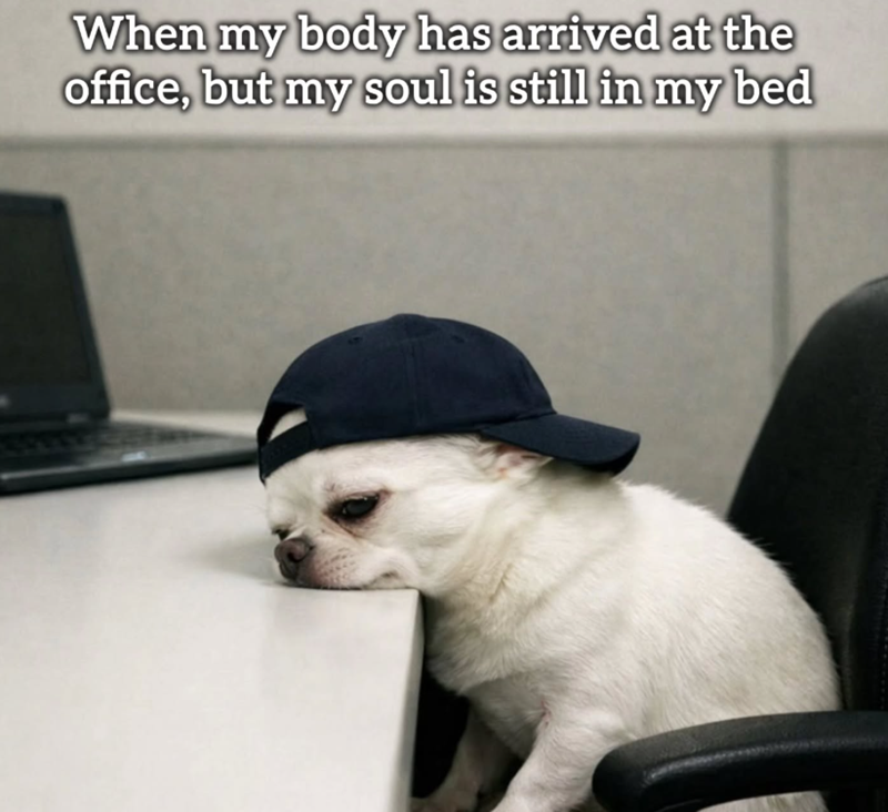 When my body has arrived at the office, but my soul is still in my bed