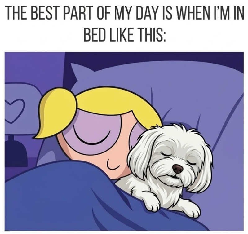 THE BEST PART OF MY DAY IS WHEN I'M IN BED LIKE THIS: