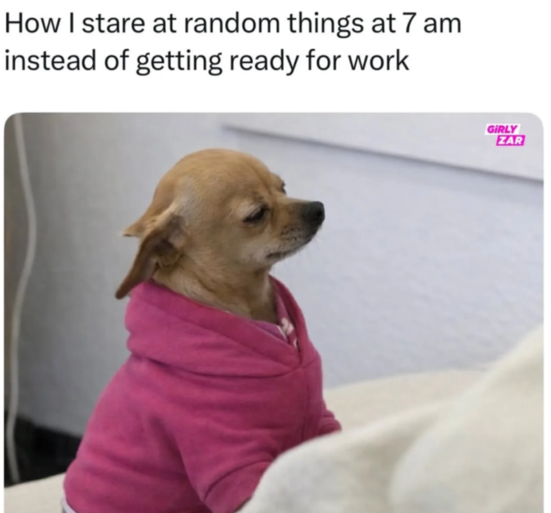 How I stare at random things at 7 am instead of getting ready for work GIRLY ZAR