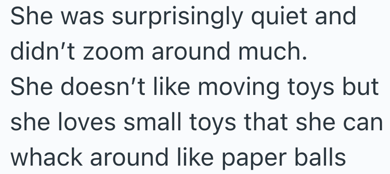 She was surprisingly quiet and didn't zoom around much. She doesn't like moving toys but she loves small toys that she can whack around like paper balls