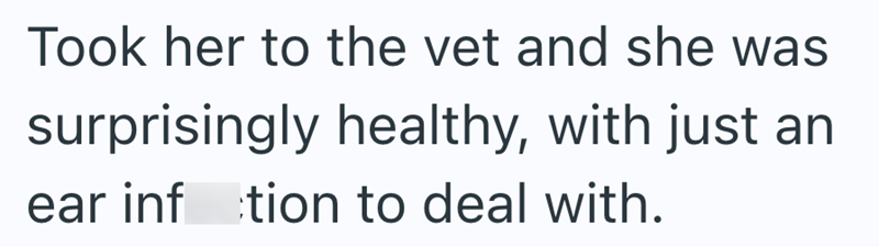 Took her to the vet and she was surprisingly healthy, with just an ear inftion to deal with.