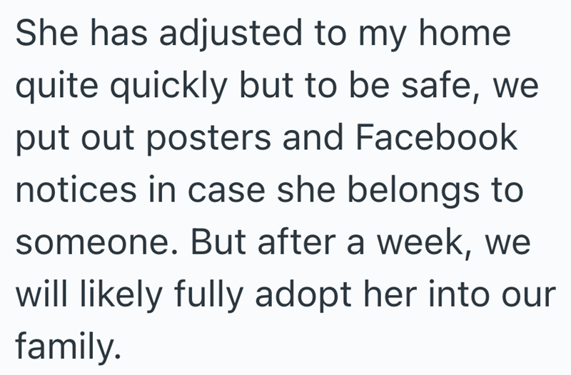 She has adjusted to my home quite quickly but to be safe, we put out posters and Facebook notices in case she belongs to someone. But after a week, we will likely fully adopt her into our family.