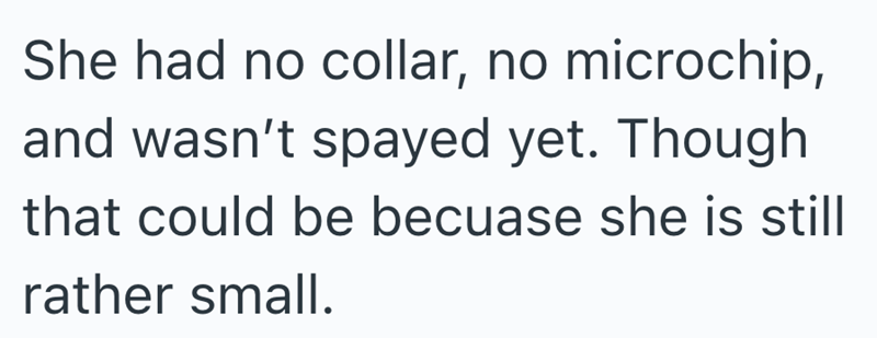 She had no collar, no microchip, and wasn't spayed yet. Though that could be becuase she is still rather small.