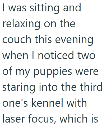I was sitting and relaxing on the couch this evening when I noticed two of my puppies were staring into the third one's kennel with laser focus, which is