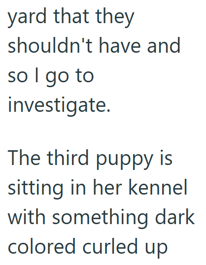 yard that they shouldn't have and so I go to investigate. The third puppy is sitting in her kennel with something dark colored curled up