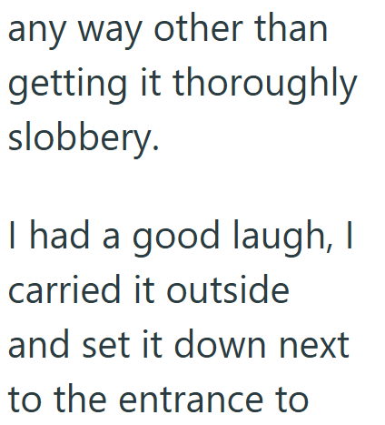 any way other than getting it thoroughly slobbery. I had a good laugh, I carried it outside and set it down next to the entrance to