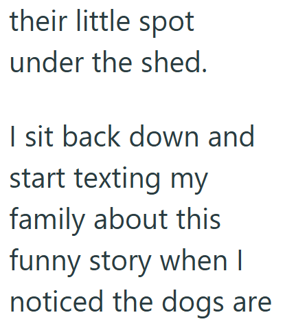 their little spot under the shed. I sit back down and start texting my family about this funny story when I noticed the dogs are