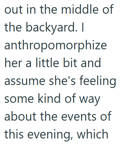 out in the middle of the backyard. I anthropomorphize her a little bit and assume she's feeling some kind of way about the events of this evening, which