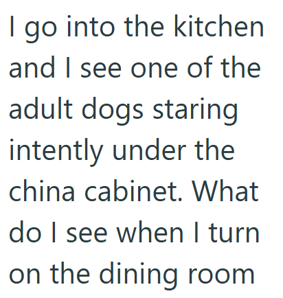 I go into the kitchen and I see one of the adult dogs staring intently under the china cabinet. What do I see when I turn on the dining room