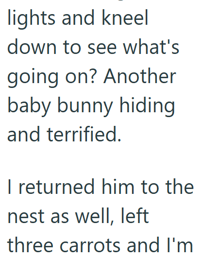lights and kneel down to see what's going on? Another baby bunny hiding and terrified. I returned him to the nest as well, left three carrots and I'm