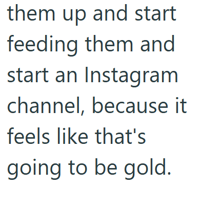 them up and start feeding them and start an Instagram channel, because it feels like that's going to be gold.